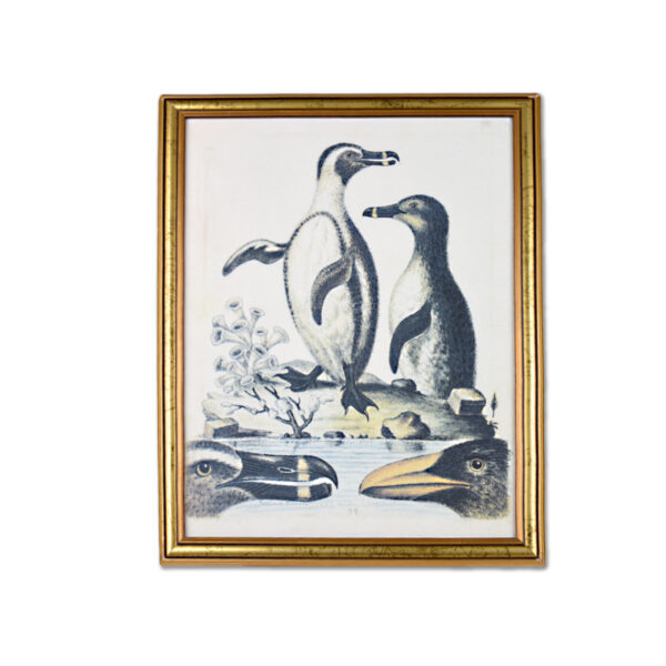 Καμβάς με ξύλινη κορνίζα