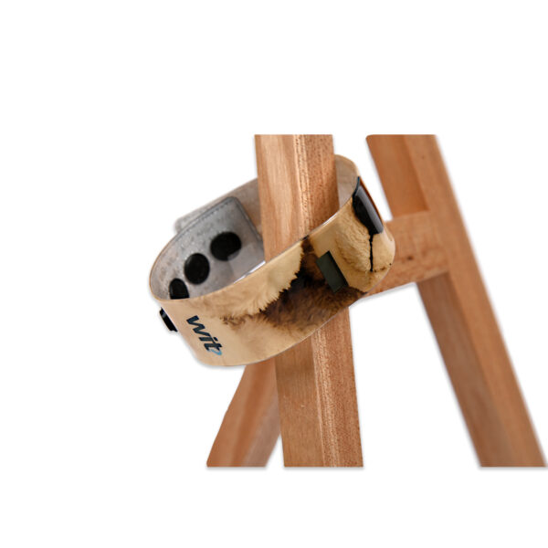 Ηλεκτρονικό ρολόι wit?