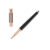 Στύλο Cerutti 1881 Albion Rose Gold