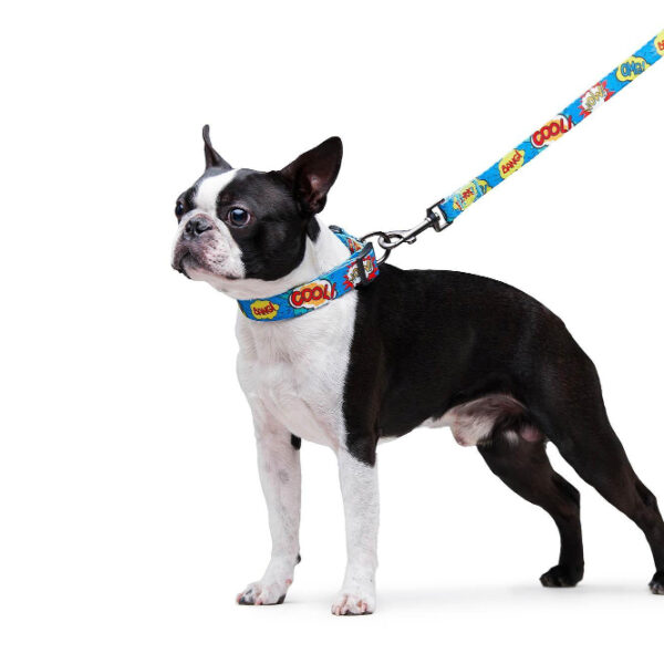 WauDog Οδηγός WOW