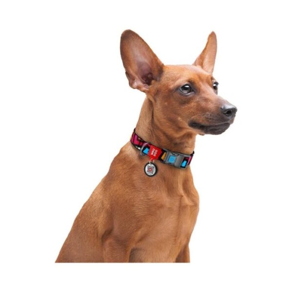 WAUDOG Graffiti Plastic Περιλαίμιο με Smart ID