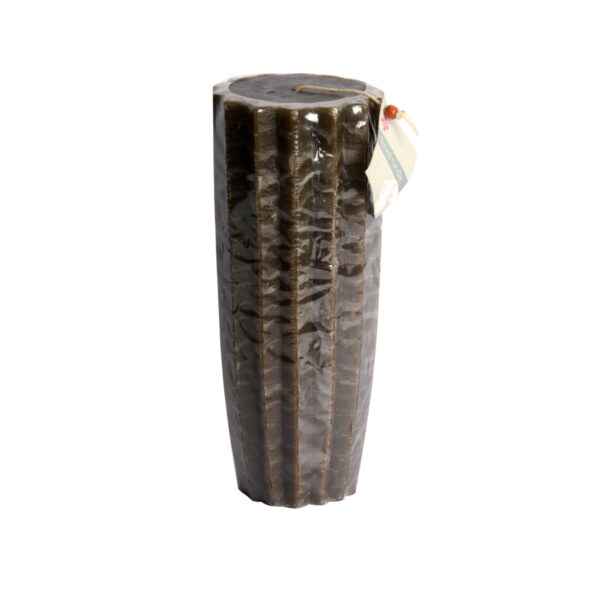 Κερί κάκτος